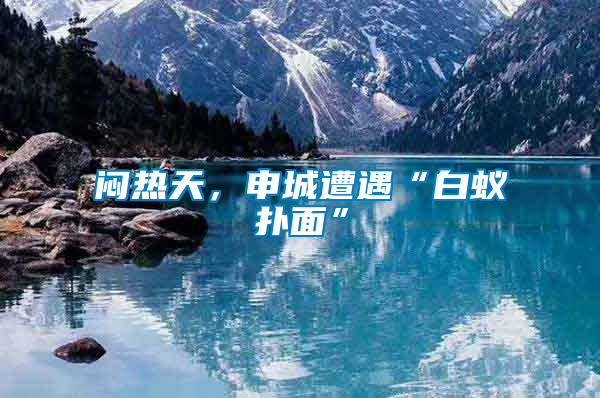 悶熱天，申城遭遇“白蟻撲面”