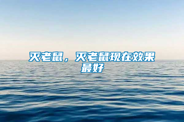 滅老鼠，滅老鼠現在效果最好