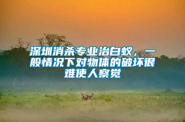 深圳消殺專業治白蟻，一般情況下對物體的破壞很難使人察覺