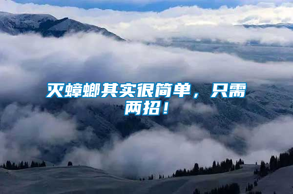 滅蟑螂其實很簡單，只需兩招！