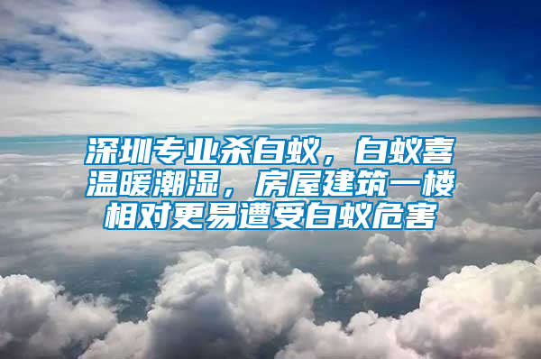 深圳專業殺白蟻，白蟻喜溫暖潮濕，房屋建筑一樓相對更易遭受白蟻危害