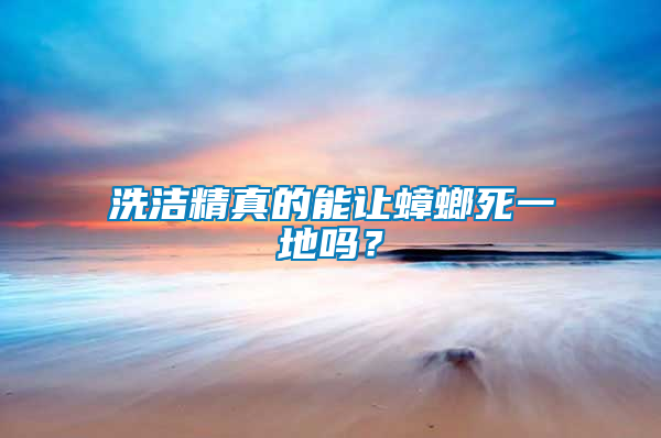 洗潔精真的能讓蟑螂死一地嗎？