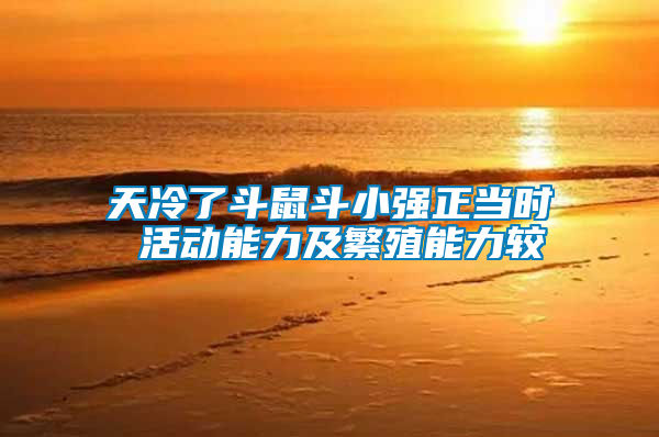 天冷了斗鼠斗小強(qiáng)正當(dāng)時 活動能力及繁殖能力較