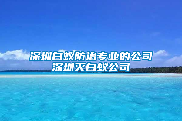 深圳白蟻防治專(zhuān)業(yè)的公司深圳滅白蟻公司