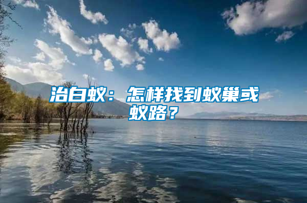 治白蟻：怎樣找到蟻巢或蟻路？