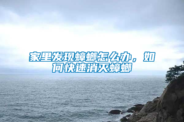 家里發(fā)現(xiàn)蟑螂怎么辦，如何快速消滅蟑螂