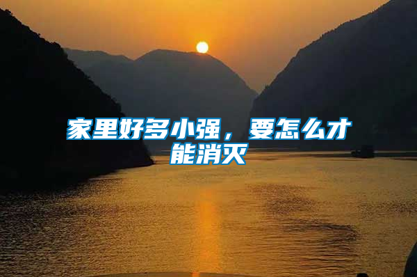 家里好多小強，要怎么才能消滅