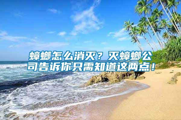 蟑螂怎么消滅？滅蟑螂公司告訴你只需知道這兩點！