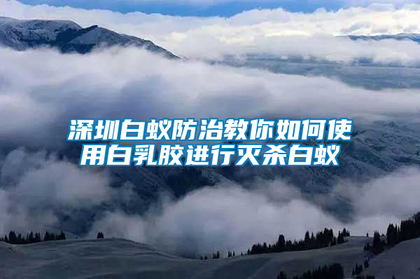 深圳白蟻防治教你如何使用白乳膠進行滅殺白蟻