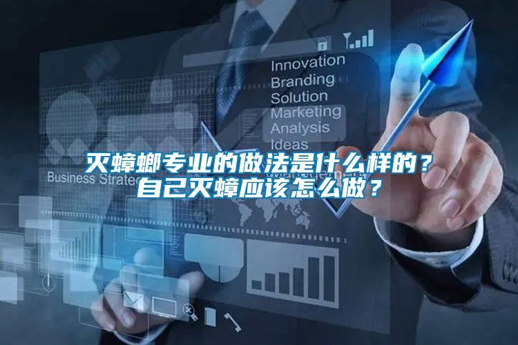 滅蟑螂專業的做法是什么樣的？自己滅蟑應該怎么做？