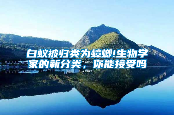 白蟻被歸類為蟑螂!生物學家的新分類，你能接受嗎