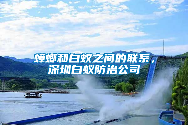 蟑螂和白蟻之間的聯系，深圳白蟻防治公司