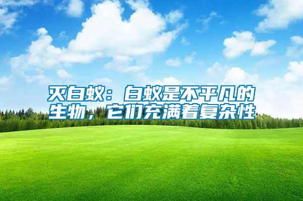 滅白蟻：白蟻是不平凡的生物，它們充滿著復雜性