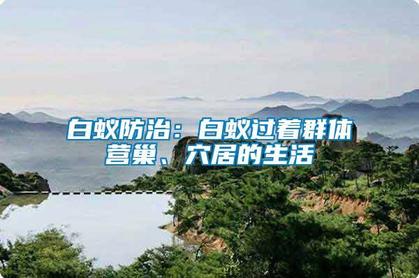 白蟻防治：白蟻過著群體營巢、穴居的生活