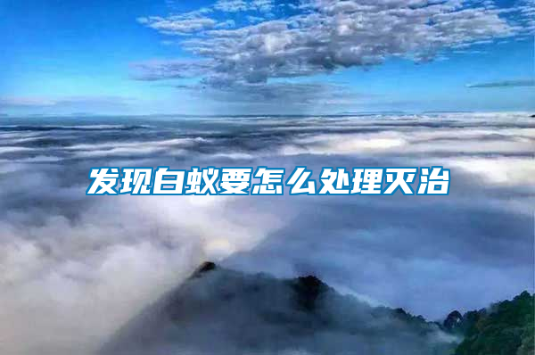 發現白蟻要怎么處理滅治