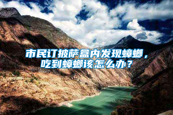 市民訂披薩盒內(nèi)發(fā)現(xiàn)蟑螂，吃到蟑螂該怎么辦？