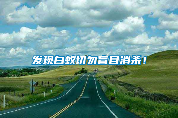 發現白蟻切勿盲目消殺！