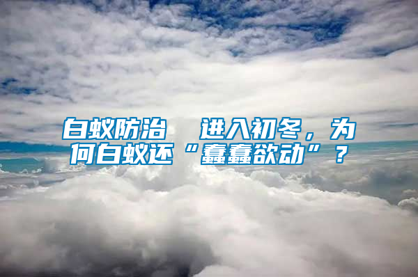 白蟻防治  進(jìn)入初冬，為何白蟻還“蠢蠢欲動(dòng)”？