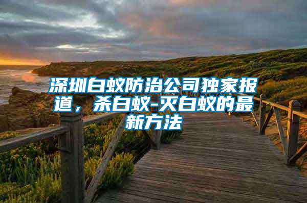 深圳白蟻防治公司獨家報道，殺白蟻-滅白蟻的最新方法