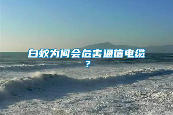 白蟻為何會危害通信電纜？