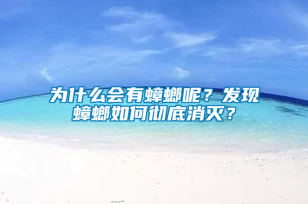 為什么會有蟑螂呢？發(fā)現(xiàn)蟑螂如何徹底消滅？