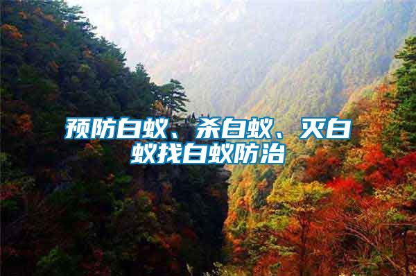 預(yù)防白蟻、殺白蟻、滅白蟻找白蟻防治