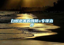 白蟻危害的預防+專項治療